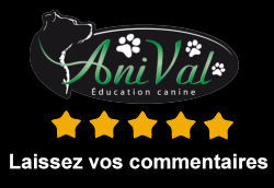 Cours de dressage pour chien Drummondville AniVal Avis